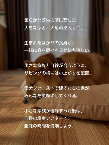 犬との暮らし