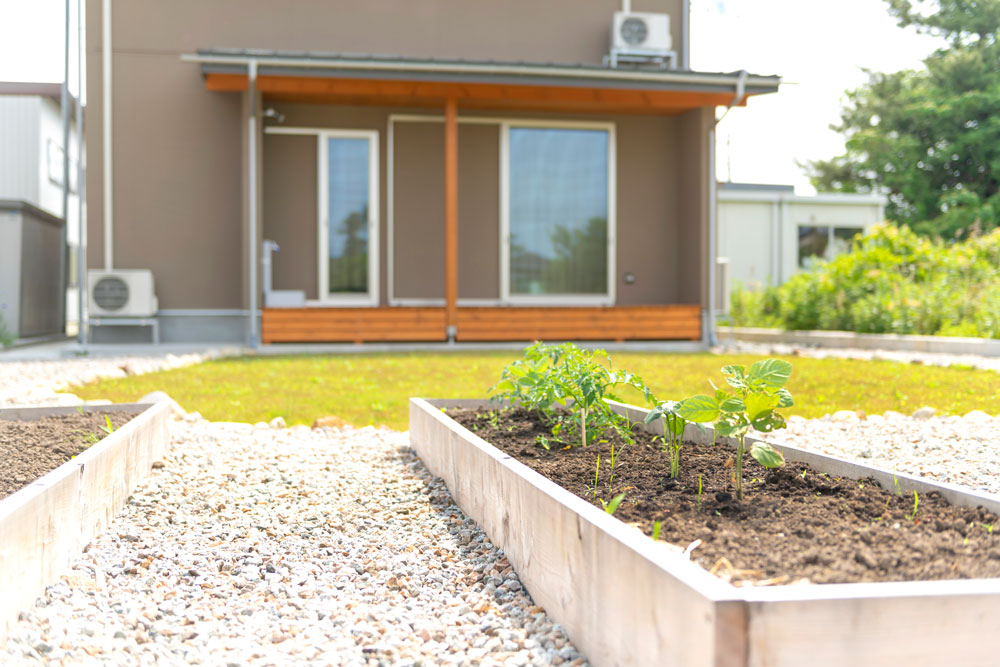 キッチンガーデン